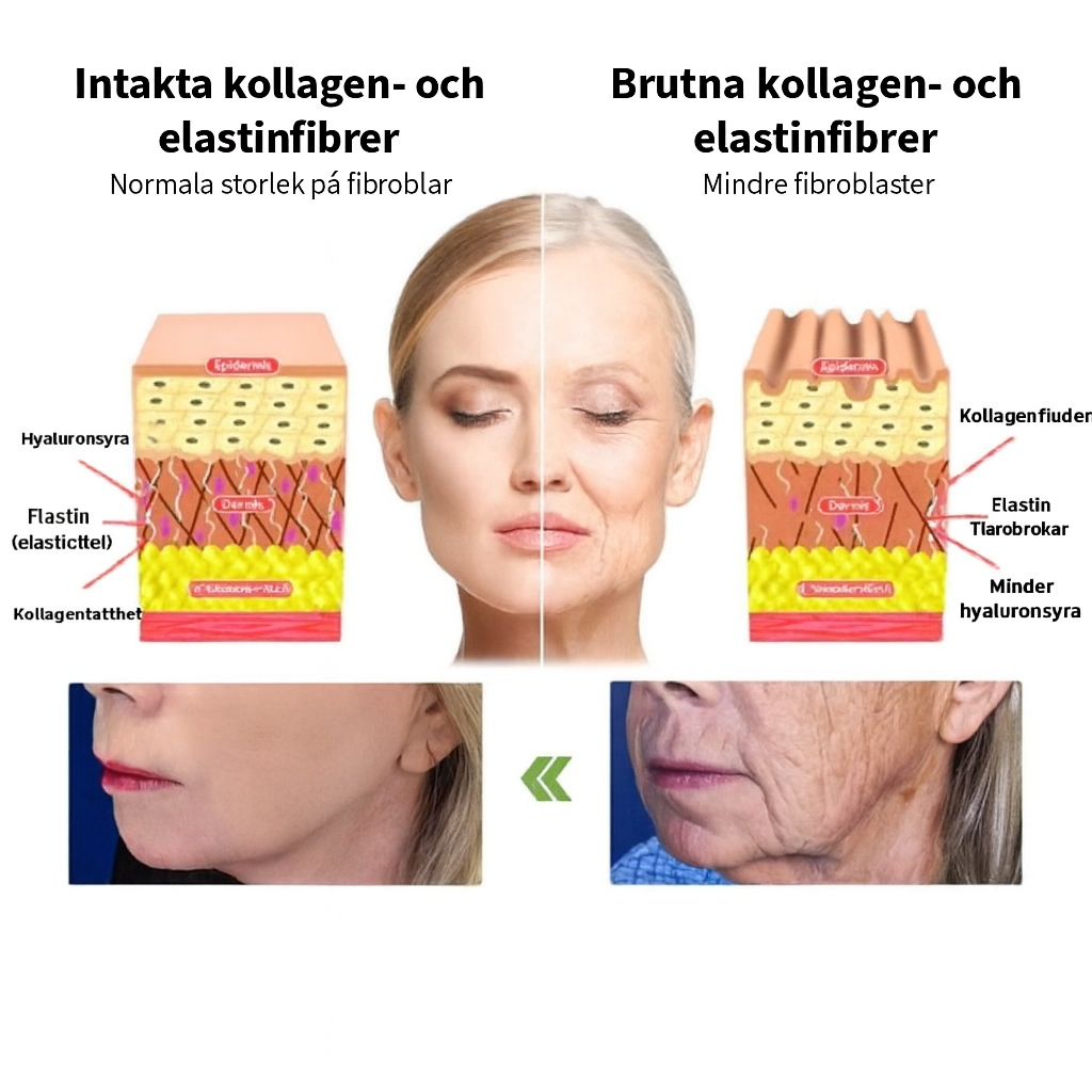 Kollagenkräm