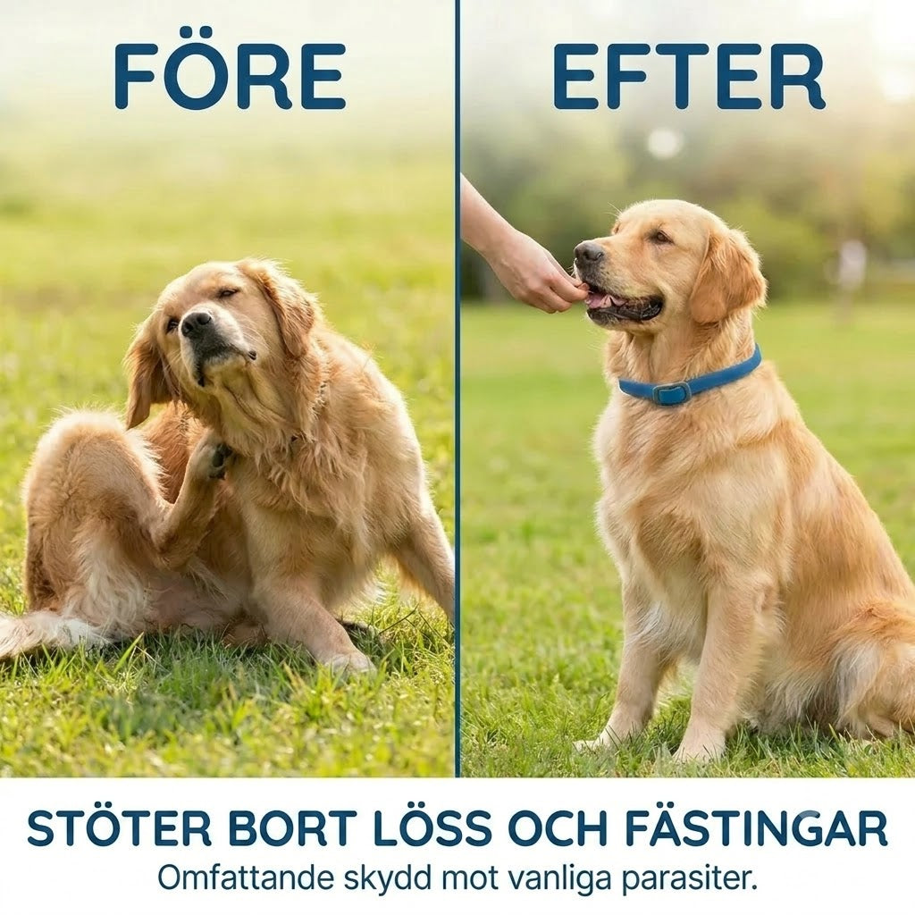 Lopp- och fästinghalsband för husdjur
