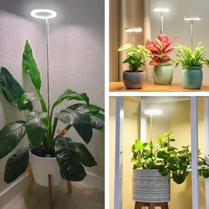 Fullspektrum växtbelysning