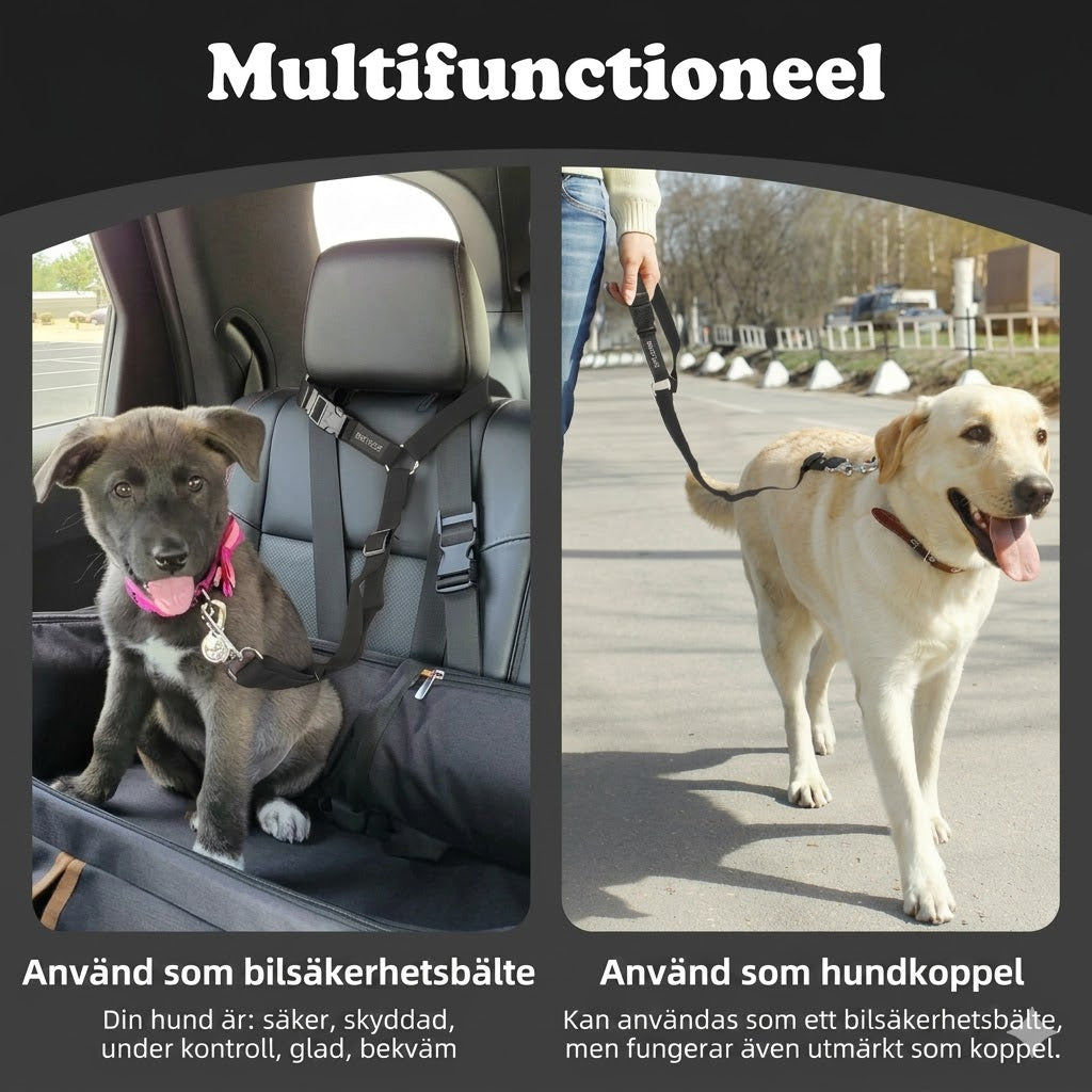 2-i-1 säkerhetsbälte och koppel för hund