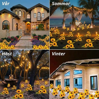 Vattentäta solenergilampor（3 Solroslampor）