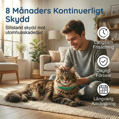 Lopp- och fästinghalsband för husdjur
