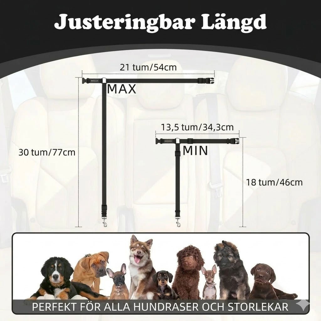 2-i-1 säkerhetsbälte och koppel för hund