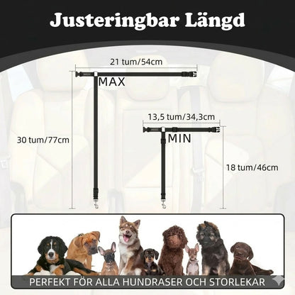 2-i-1 säkerhetsbälte och koppel för hund