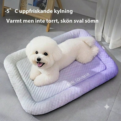 Kylmatta i issilke för hund och katt