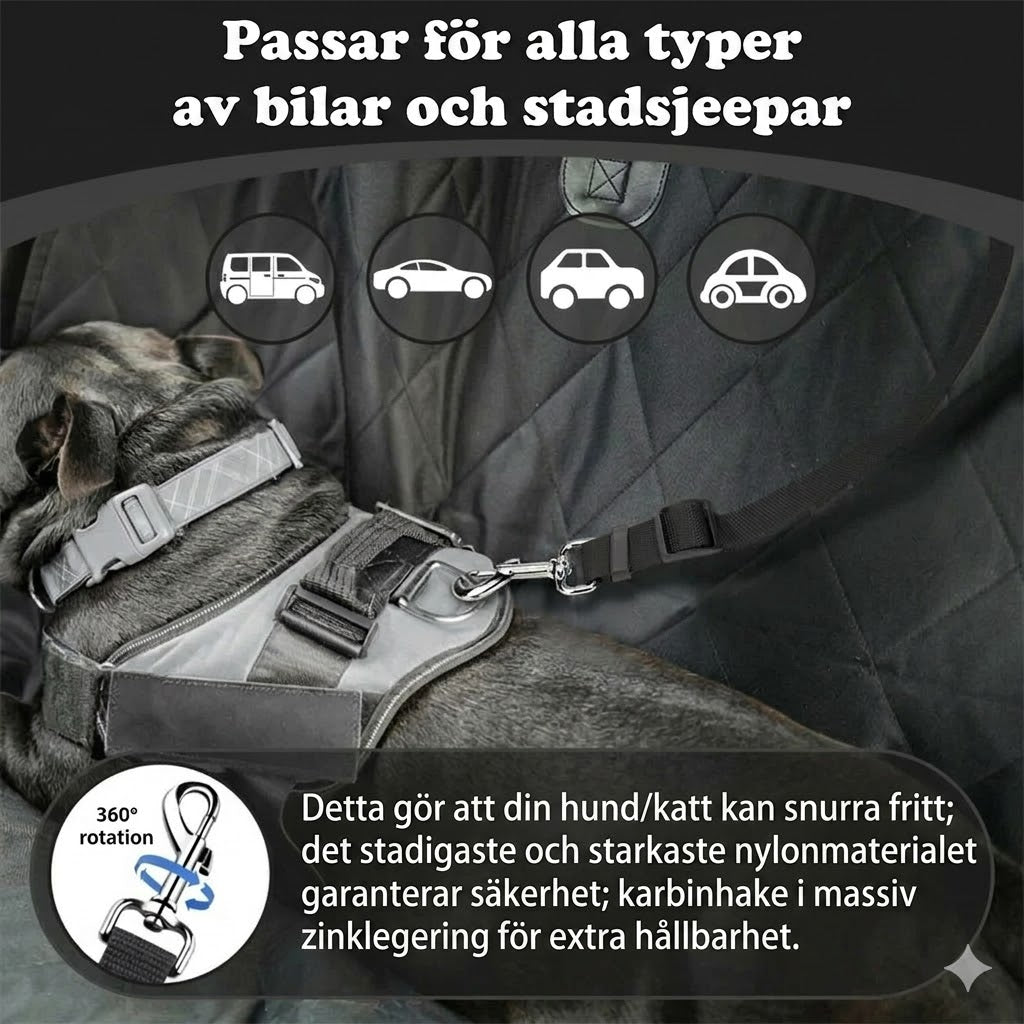 2-i-1 säkerhetsbälte och koppel för hund