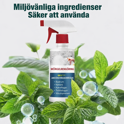 Skumrengöring mot mögel