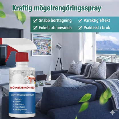Skumrengöring mot mögel