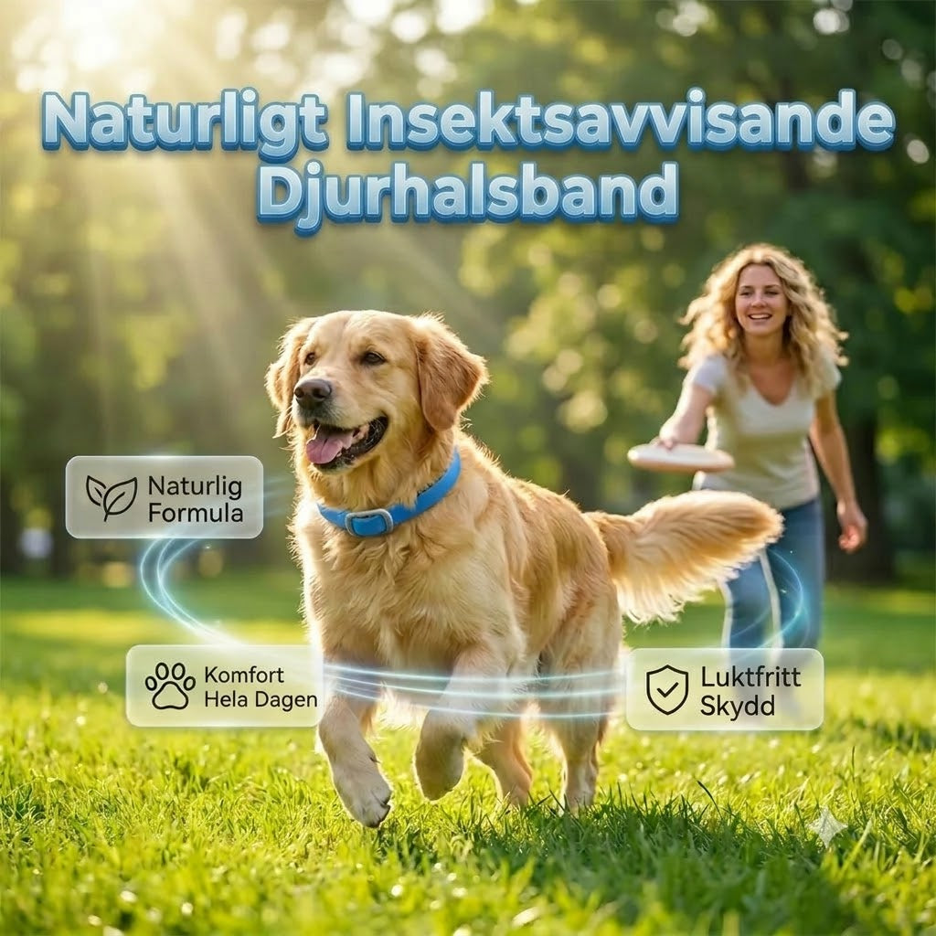 Lopp- och fästinghalsband för husdjur