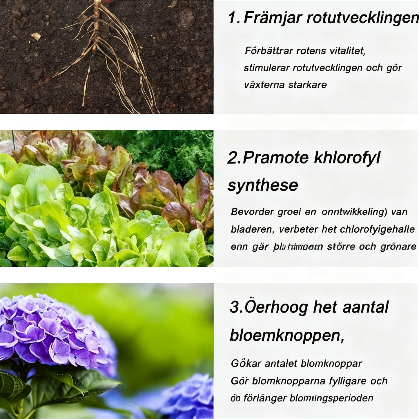 Långsamt frisättande gödselmedel i tablettform för växter