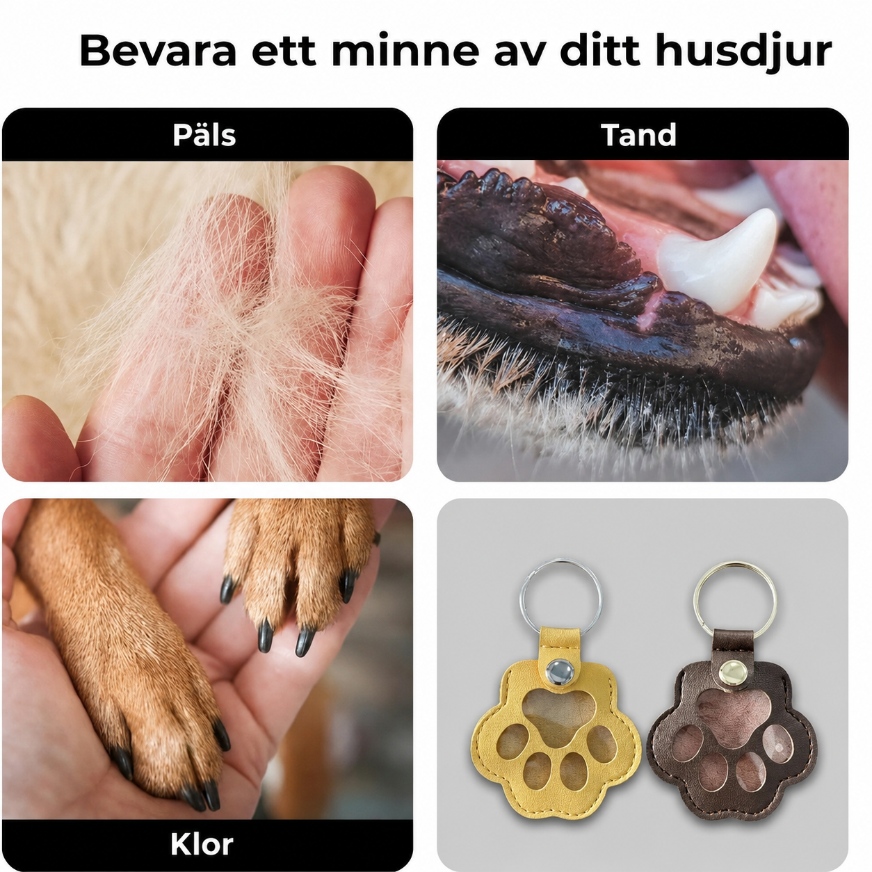 Minnesnyckelring för husdjur