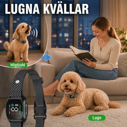 Smart antiskallhalsband för hundar