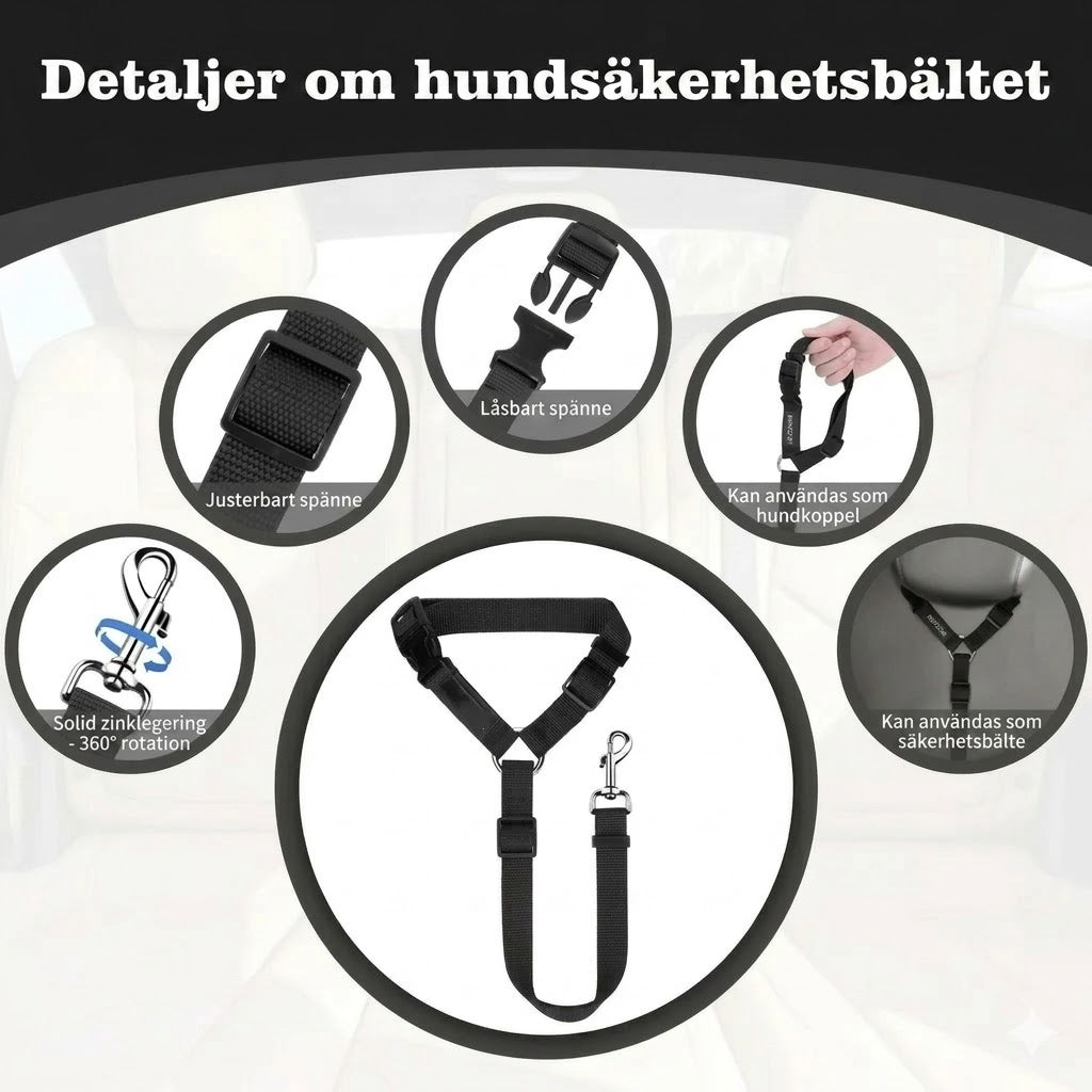 2-i-1 säkerhetsbälte och koppel för hund