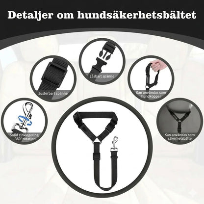 2-i-1 säkerhetsbälte och koppel för hund