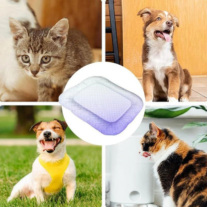 Kylmatta i issilke för hund och katt