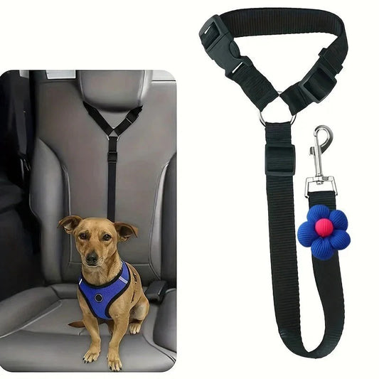 2-i-1 säkerhetsbälte och koppel för hund