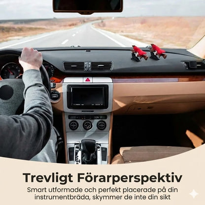 Magisk kvastdekoration till bilens instrumentbräda
